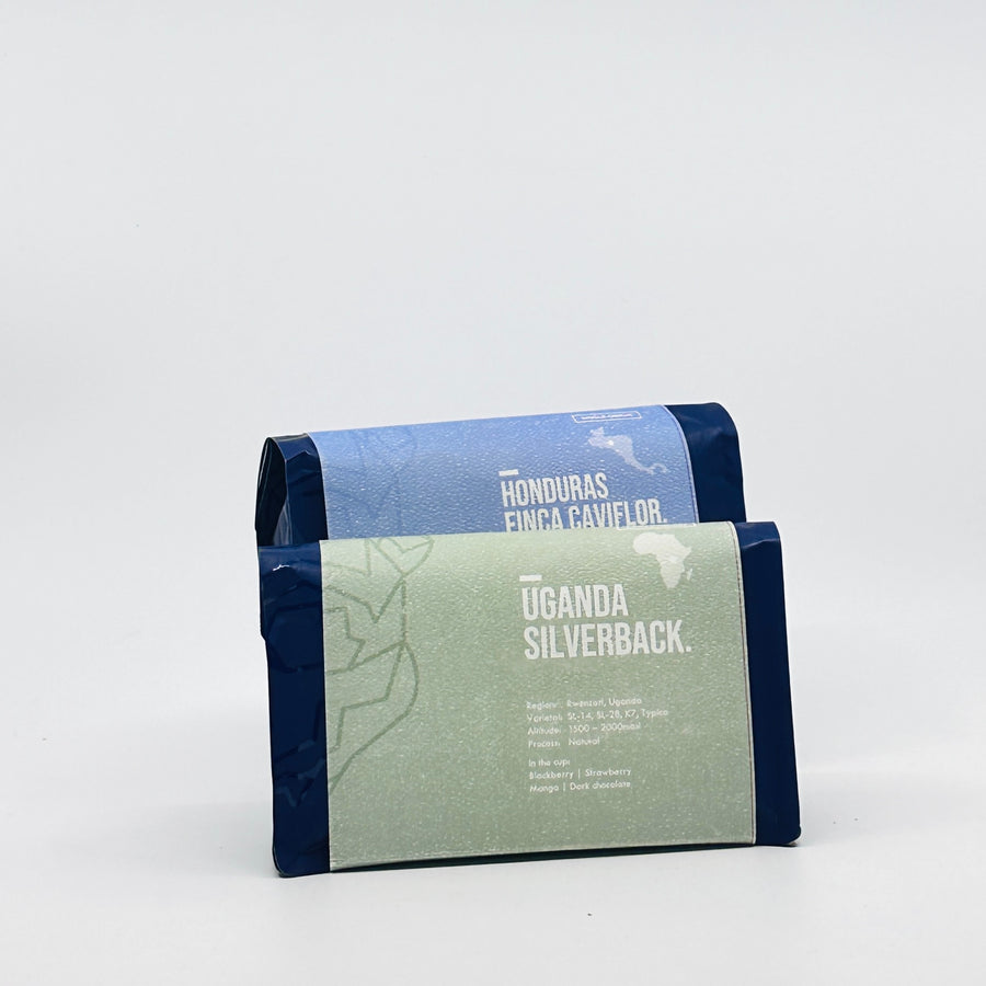 Filter Coffee Collection